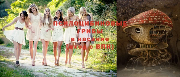 ешки Гусев