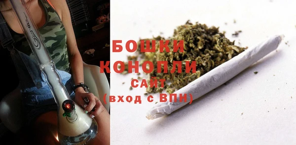 ешки Гусев