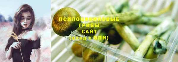 spice Гусиноозёрск
