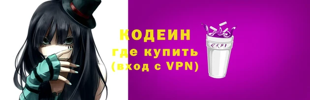 spice Гусиноозёрск