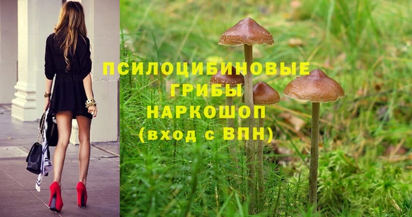 spice Гусиноозёрск