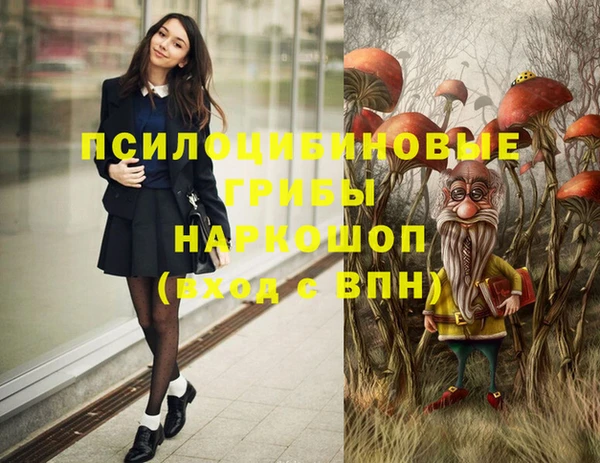 ешки Гусев