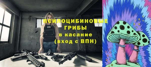 spice Гусиноозёрск
