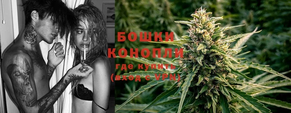 spice Гусиноозёрск