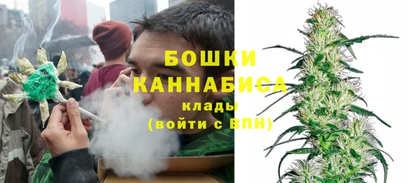 spice Гусь-Хрустальный