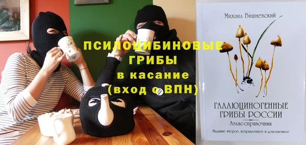 spice Гусь-Хрустальный
