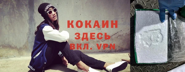 ешки Гусев