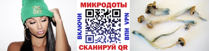 Галлюциногенные грибы мицелий  Купить закладки  Ревда 